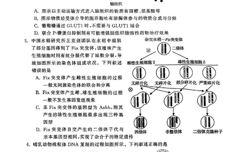 生物_2025年3月_250320河南三市（开封市、周口市、商丘市）2025届高三年级第二次质量检测（全科）_河南三市2025届高三年级第二次质量检测生物