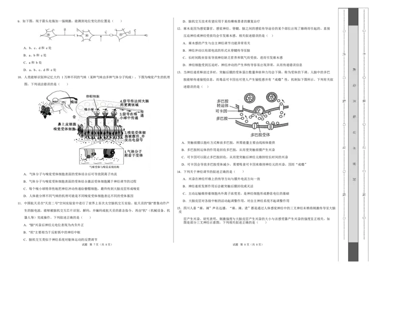 高二生物上第一次月考测试范围：选择性必修1第1、2章（考试版A3）（人教版2019）_1多考区联考试卷_2510142025-2026学年高二生物上学期第一次月考试题