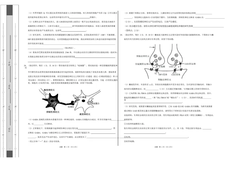 高二生物上第一次月考测试范围：选择性必修1第1、2章（考试版A3）（人教版2019）_1多考区联考试卷_2510142025-2026学年高二生物上学期第一次月考试题