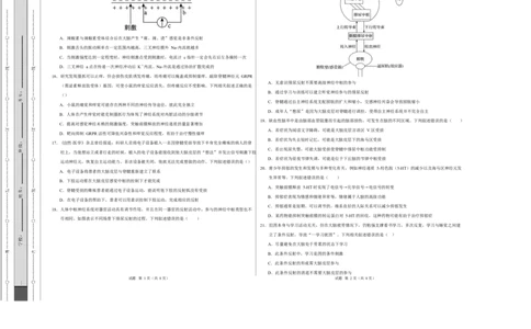 高二生物上第一次月考测试范围：选择性必修1第1、2章（考试版A3）（人教版2019）_1多考区联考试卷_2510142025-2026学年高二生物上学期第一次月考试题