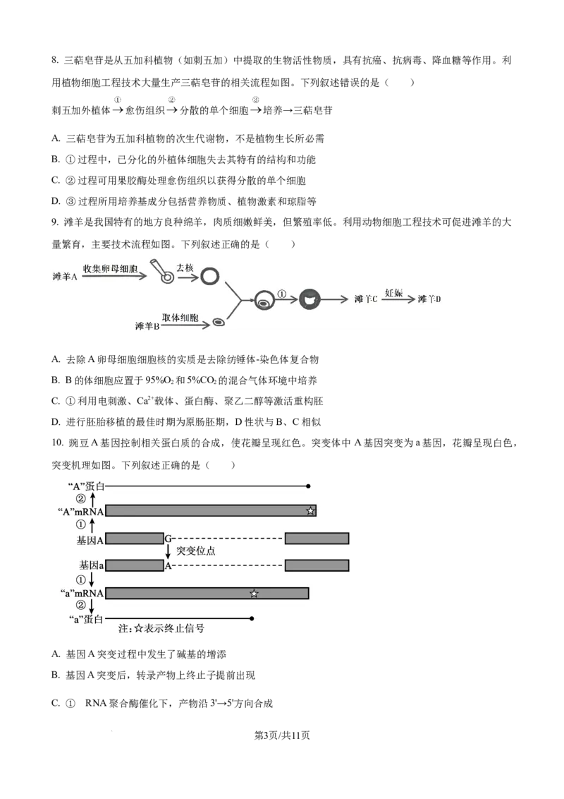 精品解析：2026届黑龙江省大庆市高三第一次质量检测生物试题（原卷版）_2025年9月_2509142026届黑龙江省大庆市第一次教学质量检测（全科）