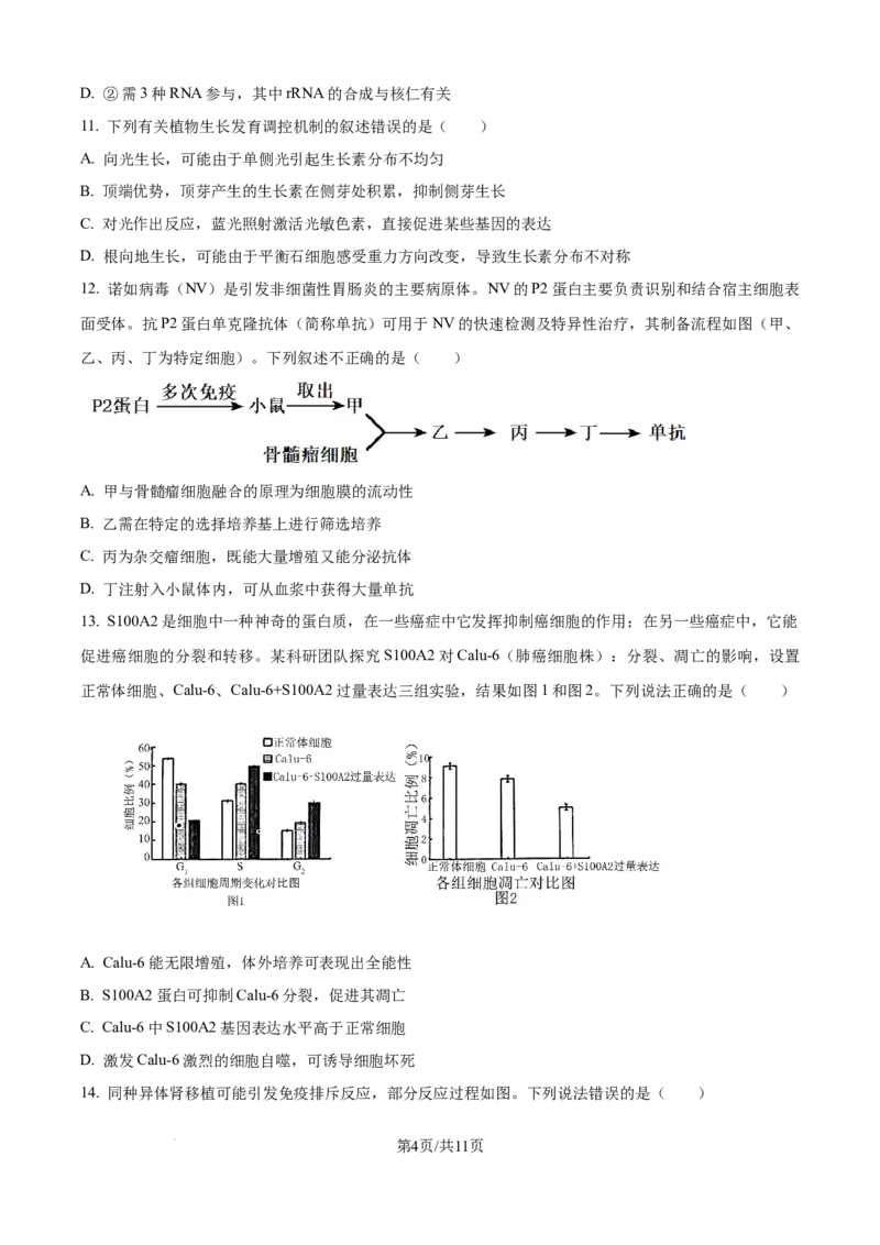 精品解析：2026届黑龙江省大庆市高三第一次质量检测生物试题（原卷版）_2025年9月_2509142026届黑龙江省大庆市第一次教学质量检测（全科）