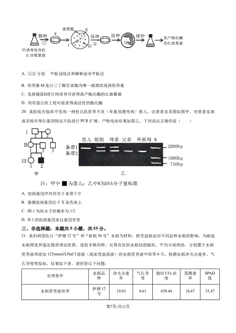 精品解析：2026届黑龙江省大庆市高三第一次质量检测生物试题（原卷版）_2025年9月_2509142026届黑龙江省大庆市第一次教学质量检测（全科）