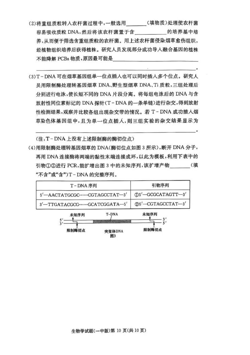 湖南省长沙市第一中学2024-2025学年高三上学期月考（五）生物学试卷+答案_2025年1月_250126湖南省长沙市第一中学2024-2025学年高三上学期月考（五）
