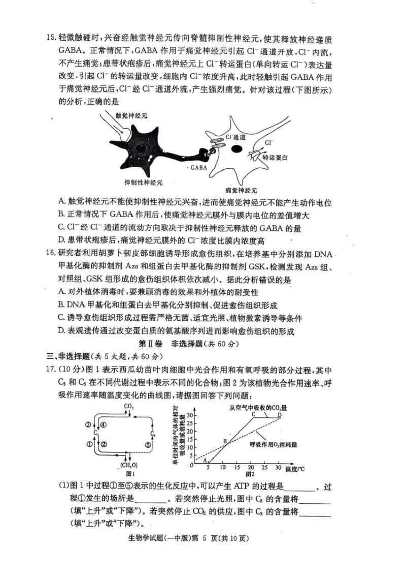 湖南省长沙市第一中学2024-2025学年高三上学期月考（五）生物学试卷+答案_2025年1月_250126湖南省长沙市第一中学2024-2025学年高三上学期月考（五）