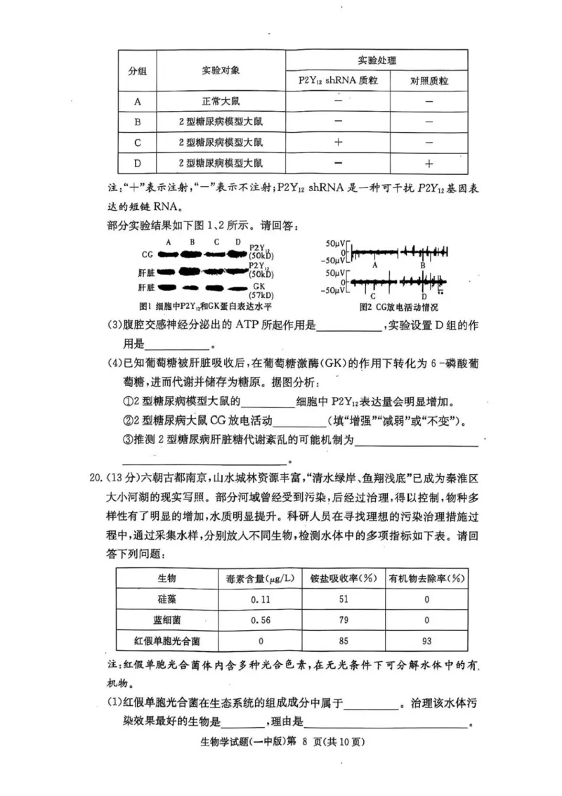 湖南省长沙市第一中学2024-2025学年高三上学期月考（五）生物学试卷+答案_2025年1月_250126湖南省长沙市第一中学2024-2025学年高三上学期月考（五）