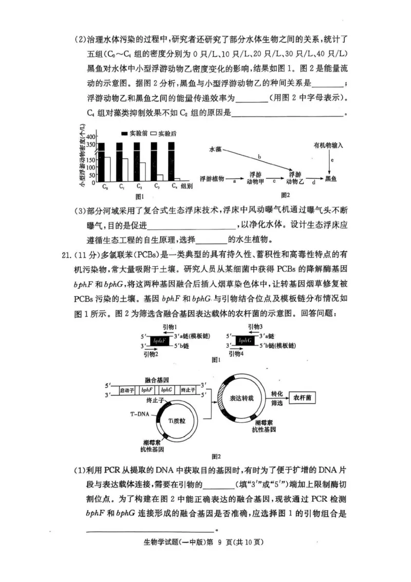 湖南省长沙市第一中学2024-2025学年高三上学期月考（五）生物学试卷+答案_2025年1月_250126湖南省长沙市第一中学2024-2025学年高三上学期月考（五）