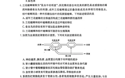 湖南省长沙市第一中学2024-2025学年高三上学期月考（五）生物学试卷+答案_2025年1月_250126湖南省长沙市第一中学2024-2025学年高三上学期月考（五）