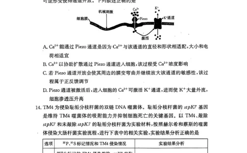 湖南省长沙市第一中学2024-2025学年高三上学期月考（五）生物学试卷+答案_2025年1月_250126湖南省长沙市第一中学2024-2025学年高三上学期月考（五）