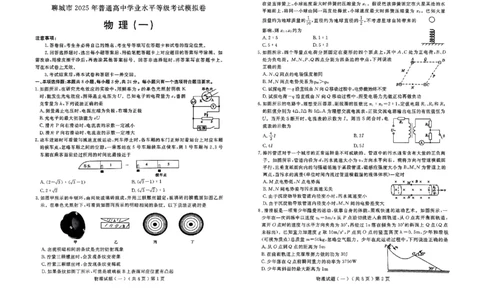 山东省聊城市2025年普通高中学业水平等级考试模拟卷物理_2025年3月_250310山东省聊城市2025年普通高中学业水平等级考试模拟卷（聊城一模）（全科）