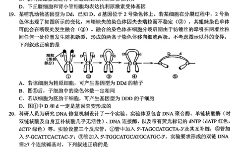 浙江北斗星盟2025年5月高三三模-生物试卷_2025年5月_250531浙江省北斗星盟2025届高三下学期5月模拟考试（三模）（全科）