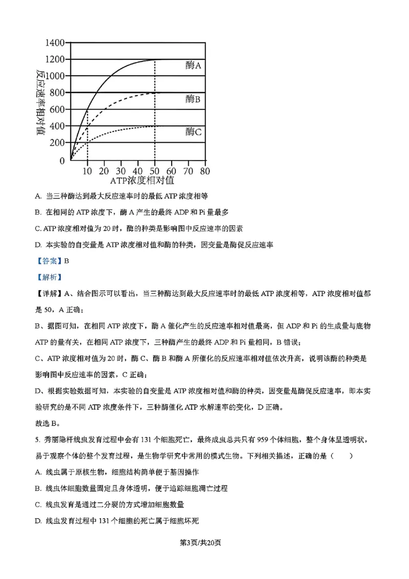 吉林省吉林市一中23级(26届)2025-2026学年度高三上学期第一次质量检测生物试题卷（含解析）_2025年10月_12026年试卷教辅资源等多个文件_生物