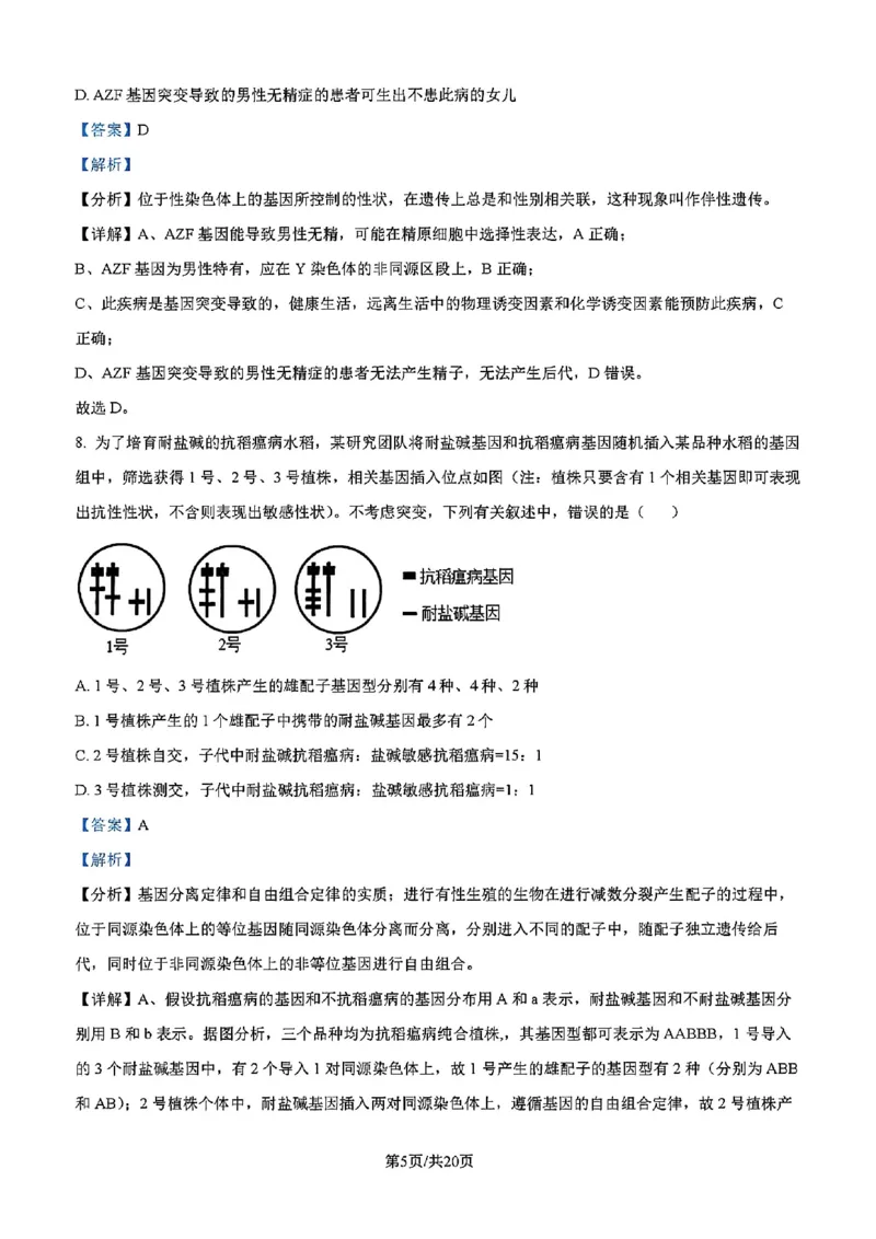 吉林省吉林市一中23级(26届)2025-2026学年度高三上学期第一次质量检测生物试题卷（含解析）_2025年10月_12026年试卷教辅资源等多个文件_生物