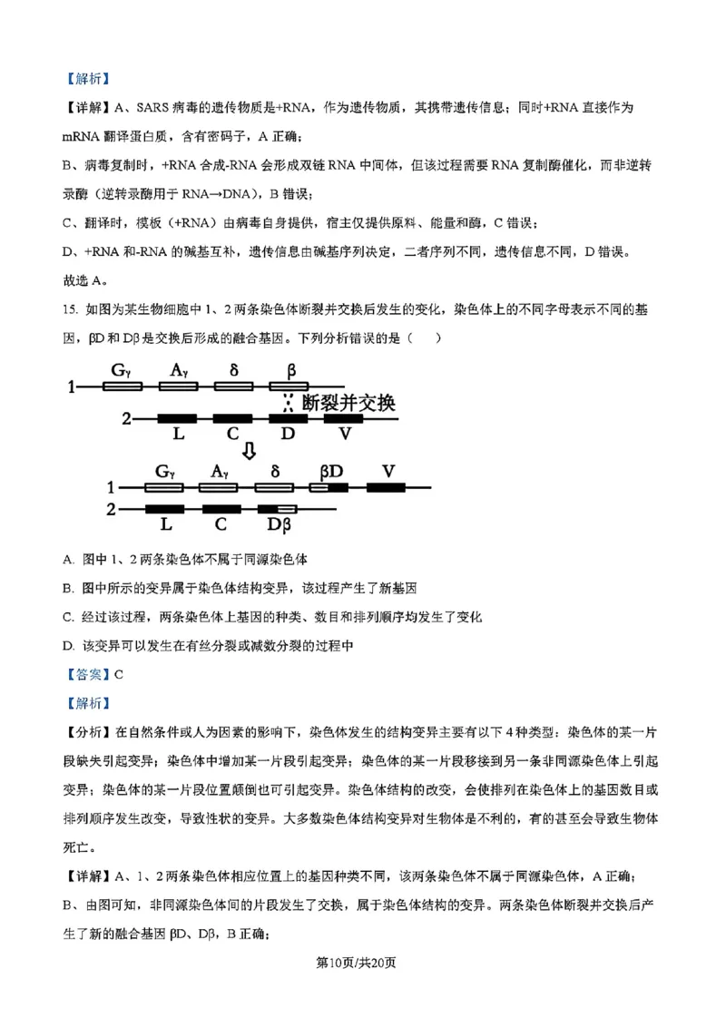 吉林省吉林市一中23级(26届)2025-2026学年度高三上学期第一次质量检测生物试题卷（含解析）_2025年10月_12026年试卷教辅资源等多个文件_生物