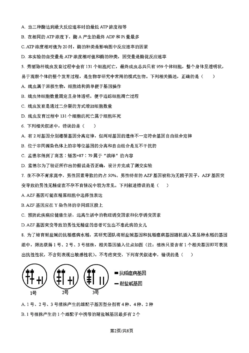 吉林省吉林市一中23级(26届)2025-2026学年度高三上学期第一次质量检测生物试题卷（含解析）_2025年10月_12026年试卷教辅资源等多个文件_生物