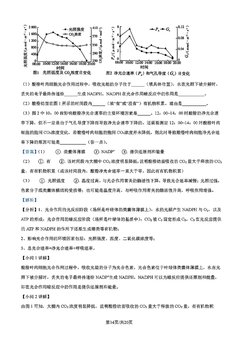 吉林省吉林市一中23级(26届)2025-2026学年度高三上学期第一次质量检测生物试题卷（含解析）_2025年10月_12026年试卷教辅资源等多个文件_生物