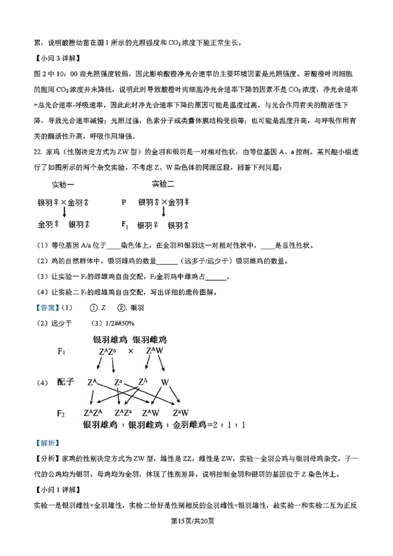 吉林省吉林市一中23级(26届)2025-2026学年度高三上学期第一次质量检测生物试题卷（含解析）_2025年10月_12026年试卷教辅资源等多个文件_生物