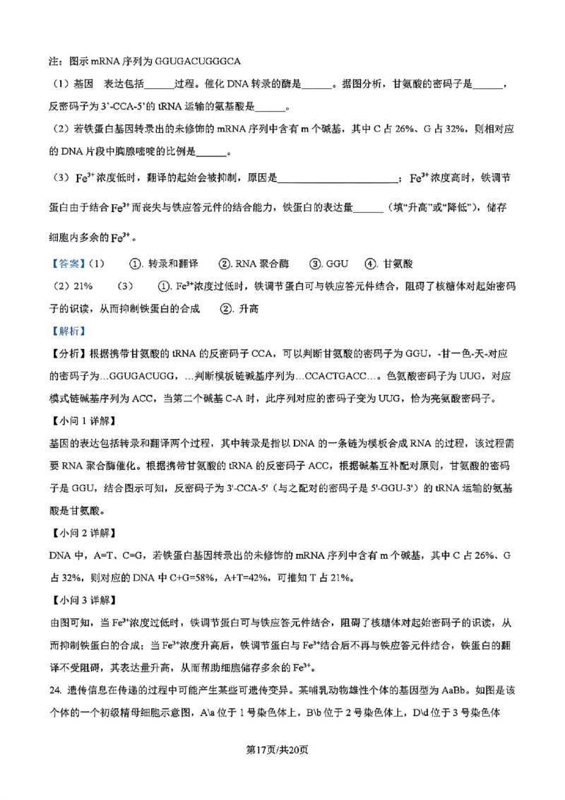 吉林省吉林市一中23级(26届)2025-2026学年度高三上学期第一次质量检测生物试题卷（含解析）_2025年10月_12026年试卷教辅资源等多个文件_生物