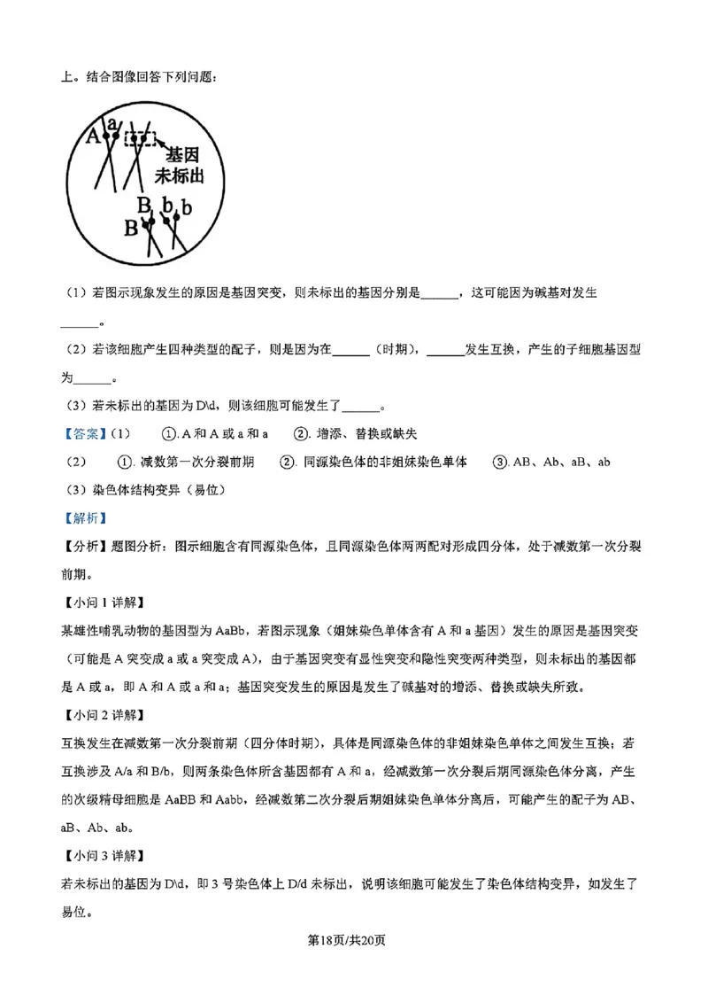 吉林省吉林市一中23级(26届)2025-2026学年度高三上学期第一次质量检测生物试题卷（含解析）_2025年10月_12026年试卷教辅资源等多个文件_生物
