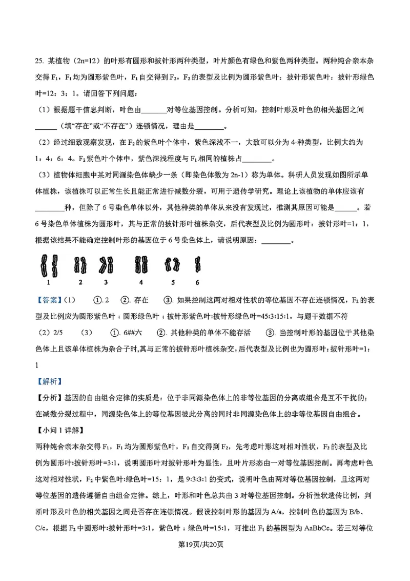 吉林省吉林市一中23级(26届)2025-2026学年度高三上学期第一次质量检测生物试题卷（含解析）_2025年10月_12026年试卷教辅资源等多个文件_生物