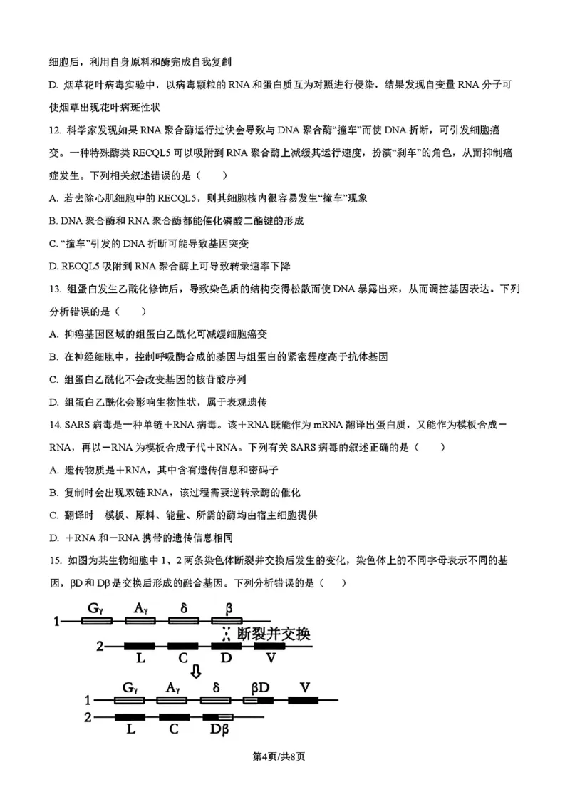 吉林省吉林市一中23级(26届)2025-2026学年度高三上学期第一次质量检测生物试题卷（含解析）_2025年10月_12026年试卷教辅资源等多个文件_生物