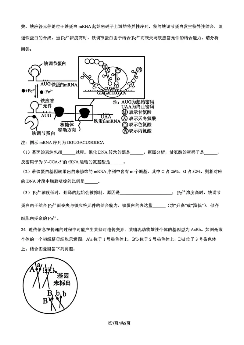 吉林省吉林市一中23级(26届)2025-2026学年度高三上学期第一次质量检测生物试题卷（含解析）_2025年10月_12026年试卷教辅资源等多个文件_生物