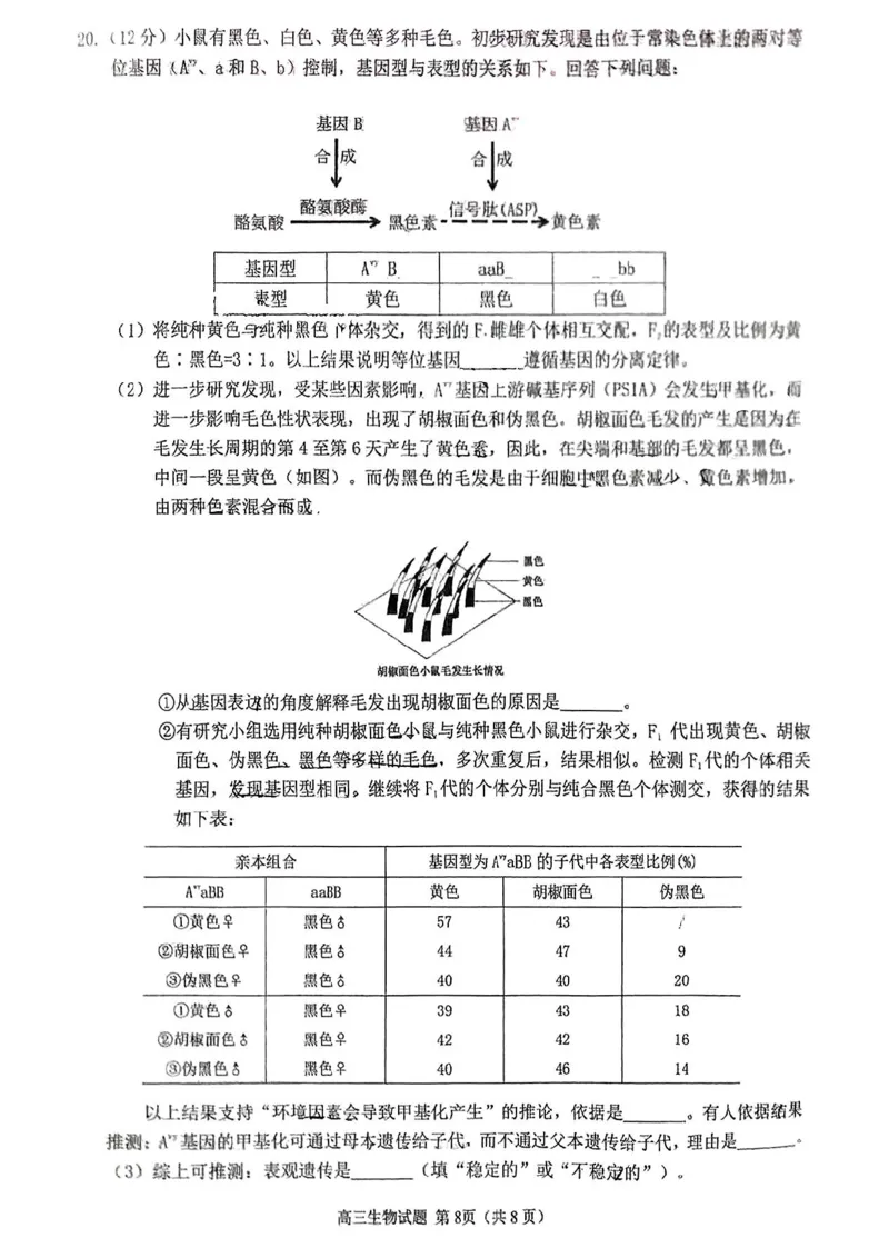 生物试卷_2025年1月_250118福建省泉州市2025届高中毕业班质量监测（二）（全科）_福建省泉州市2025届高中毕业班质量监测(二)生物