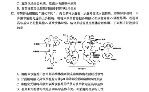 生物试卷_2025年1月_250118福建省泉州市2025届高中毕业班质量监测（二）（全科）_福建省泉州市2025届高中毕业班质量监测(二)生物