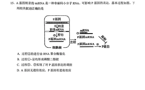 生物试卷_2025年1月_250118福建省泉州市2025届高中毕业班质量监测（二）（全科）_福建省泉州市2025届高中毕业班质量监测(二)生物