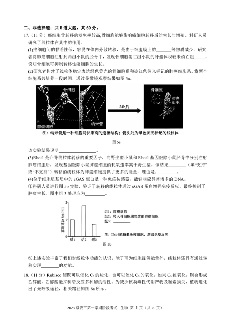生物阶段考终版_2025年10月_251020广东省汕头市金山中学2025-2026学年高三上学期10月阶段考试（全科）
