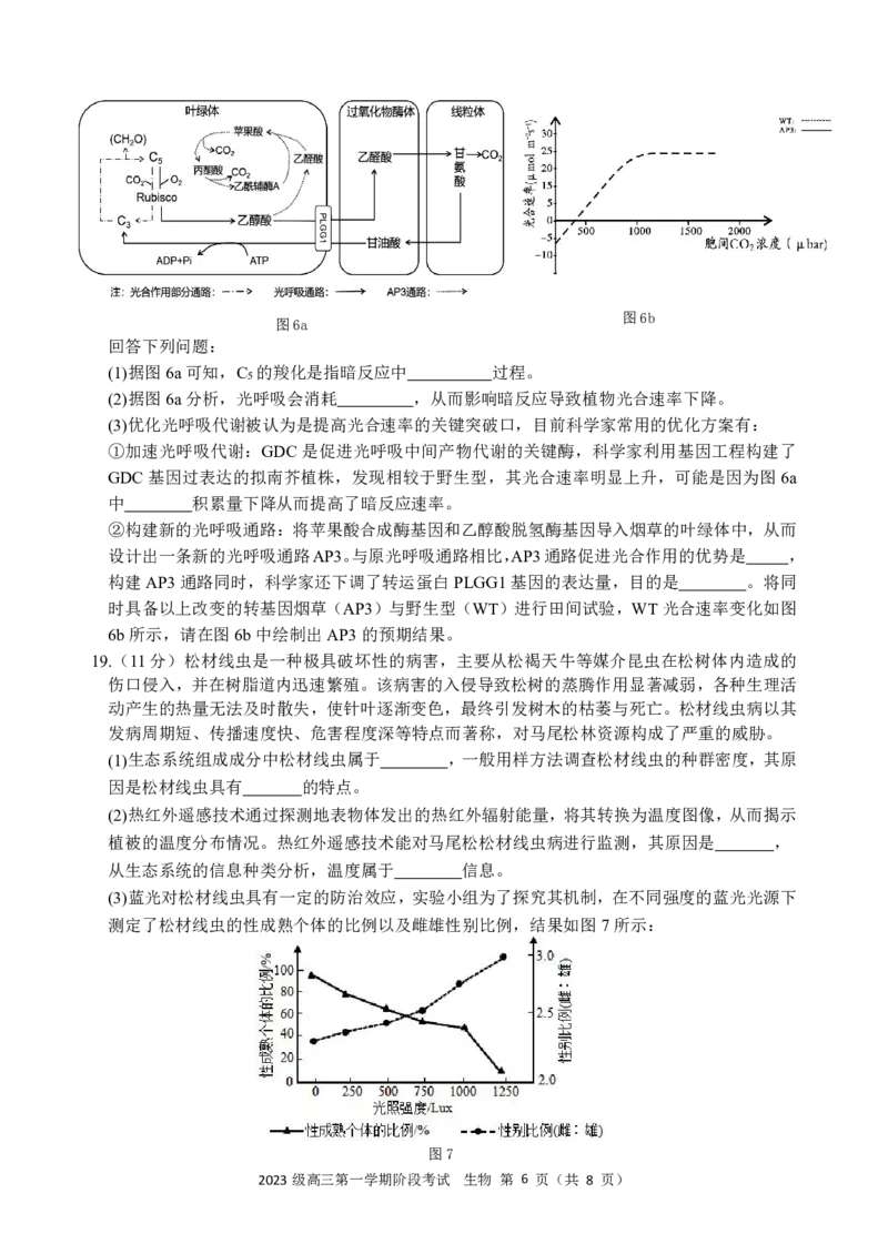 生物阶段考终版_2025年10月_251020广东省汕头市金山中学2025-2026学年高三上学期10月阶段考试（全科）
