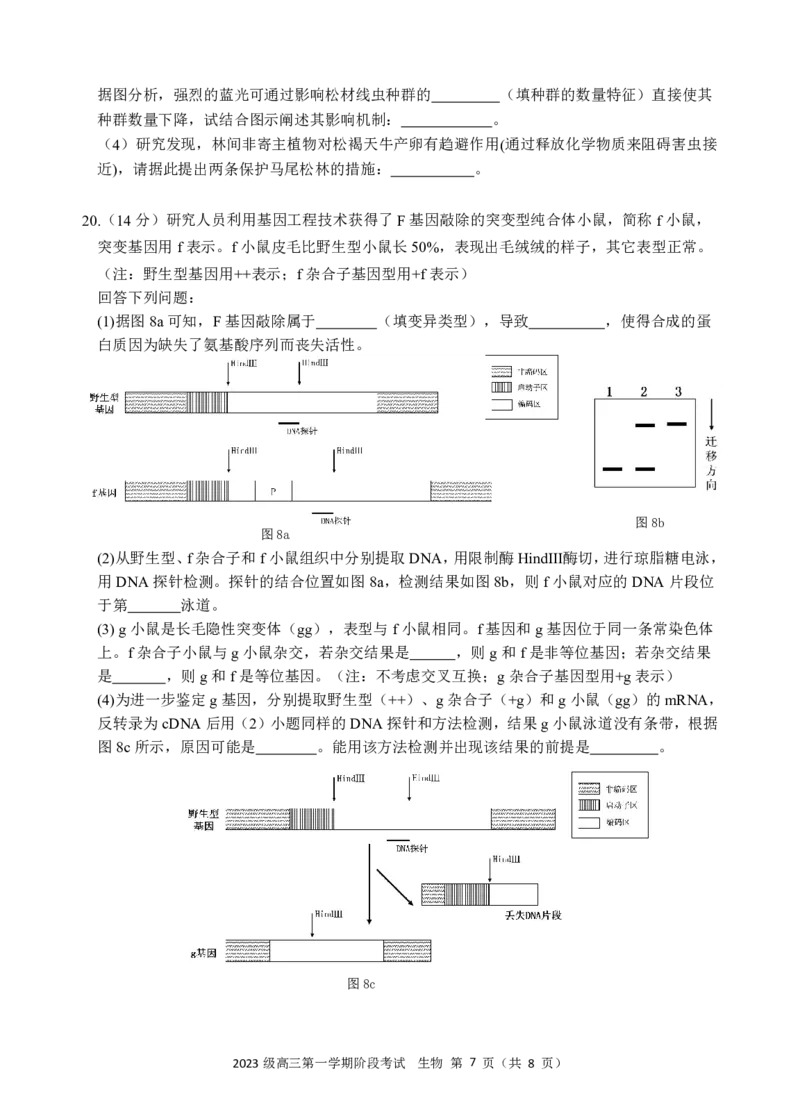 生物阶段考终版_2025年10月_251020广东省汕头市金山中学2025-2026学年高三上学期10月阶段考试（全科）