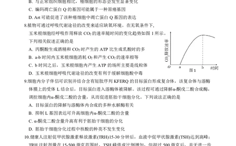 生物阶段考终版_2025年10月_251020广东省汕头市金山中学2025-2026学年高三上学期10月阶段考试（全科）