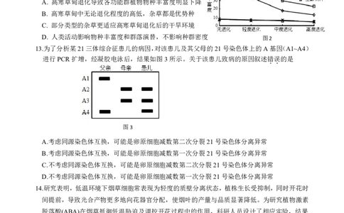 生物阶段考终版_2025年10月_251020广东省汕头市金山中学2025-2026学年高三上学期10月阶段考试（全科）