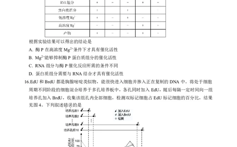 生物阶段考终版_2025年10月_251020广东省汕头市金山中学2025-2026学年高三上学期10月阶段考试（全科）