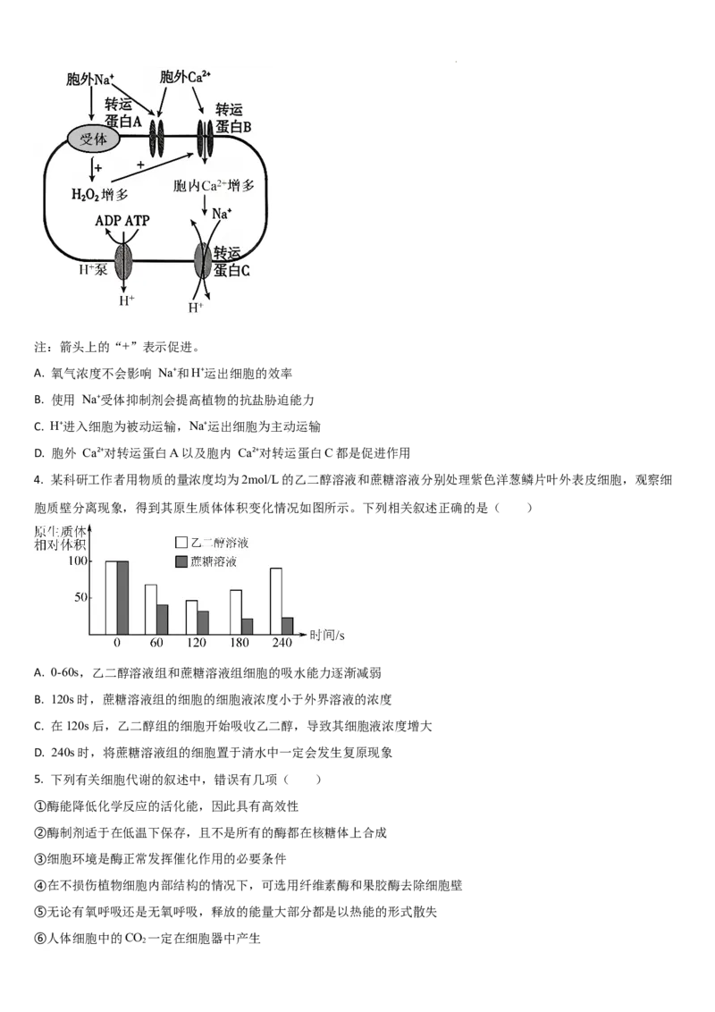 吉林省通化市梅河口市第五中学2025-2026学年高三上学期9月月考生物试题（含答案）_2025年10月_251004吉林省通化市梅河口市第五中学2025-2026学年高三上学期9月月考（全科）