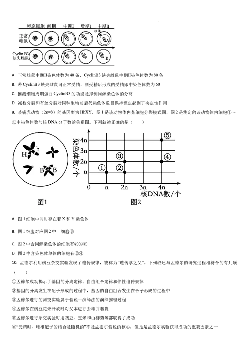 吉林省通化市梅河口市第五中学2025-2026学年高三上学期9月月考生物试题（含答案）_2025年10月_251004吉林省通化市梅河口市第五中学2025-2026学年高三上学期9月月考（全科）
