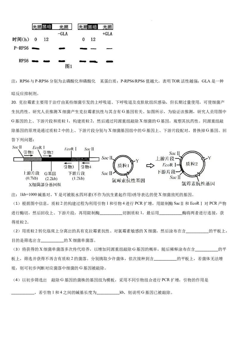 吉林省通化市梅河口市第五中学2025-2026学年高三上学期9月月考生物试题（含答案）_2025年10月_251004吉林省通化市梅河口市第五中学2025-2026学年高三上学期9月月考（全科）