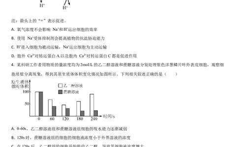 吉林省通化市梅河口市第五中学2025-2026学年高三上学期9月月考生物试题（含答案）_2025年10月_251004吉林省通化市梅河口市第五中学2025-2026学年高三上学期9月月考（全科）