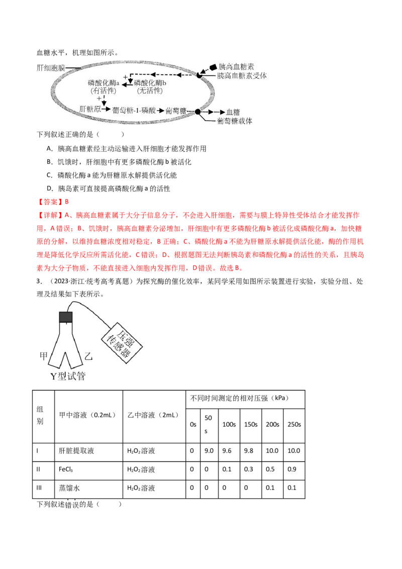 专题04酶和ATP（解析卷）_近10年高考真题汇编（必刷）_十年（2014-2024）高考生物真题分项汇编（全国通用）_十年（2014-2023）高考生物真题分项汇编（全国通用）