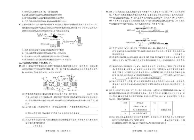 河南省天一大联考2024-2025学年高中毕业班阶段性测试（六）生物_2025年3月_250320河南省天一大联考2024-2025学年高中毕业班阶段性测试（六）（全科）