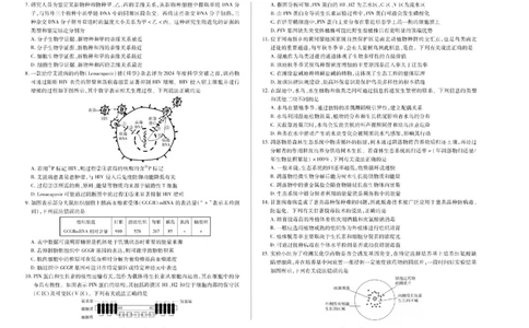 河南省天一大联考2024-2025学年高中毕业班阶段性测试（六）生物_2025年3月_250320河南省天一大联考2024-2025学年高中毕业班阶段性测试（六）（全科）