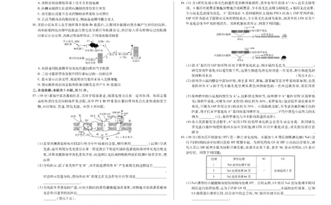 河南省天一大联考2024-2025学年高中毕业班阶段性测试（六）生物_2025年3月_250320河南省天一大联考2024-2025学年高中毕业班阶段性测试（六）（全科）