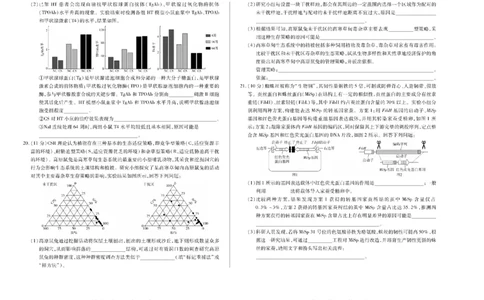 河南省天一大联考2024-2025学年高中毕业班阶段性测试（六）生物_2025年3月_250320河南省天一大联考2024-2025学年高中毕业班阶段性测试（六）（全科）