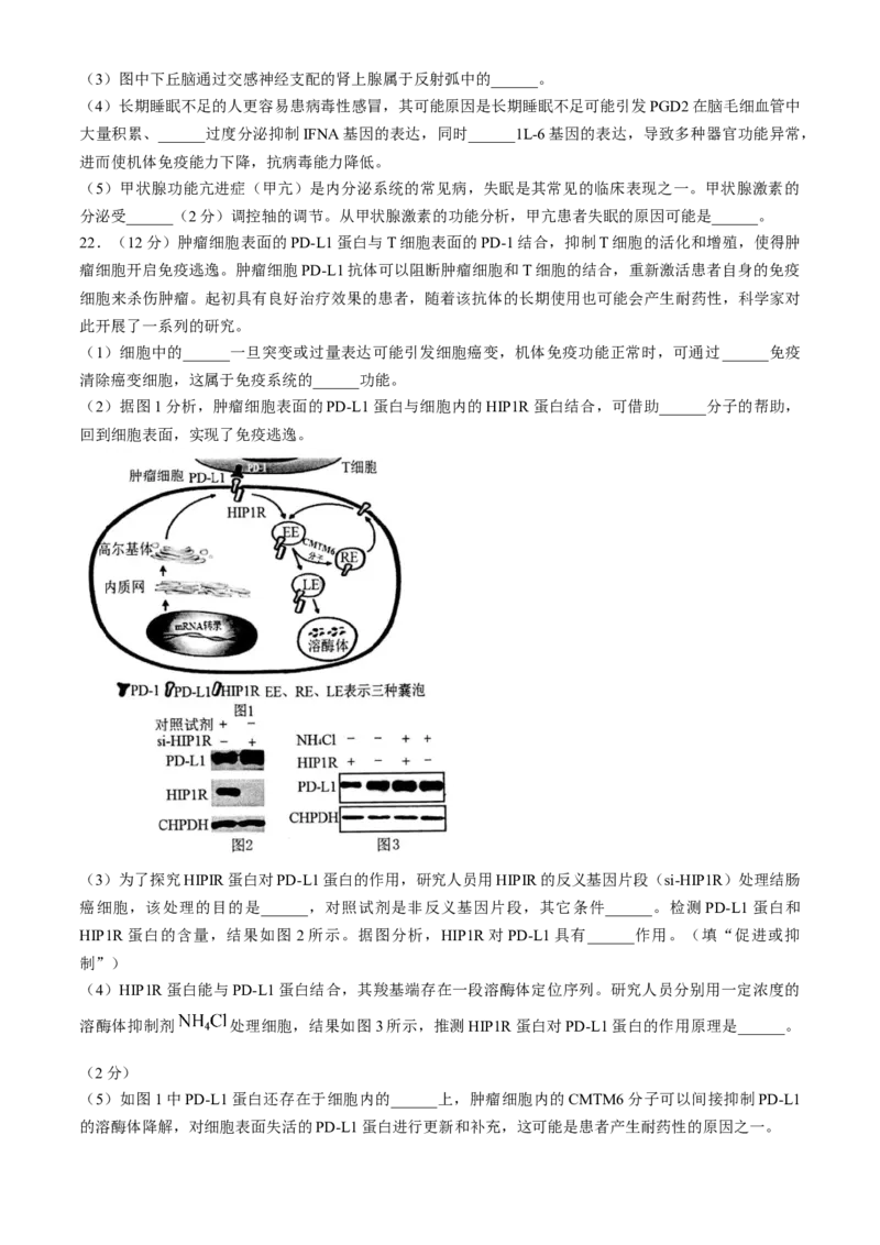 江苏省扬州市高邮市2024-2025学年高三上学期12月月考生物试题（含答案）_2025年1月_250102江苏省扬州市高邮市2024-2025学年高三上学期12月月考（全科）