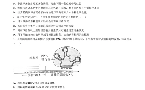 江苏省扬州市高邮市2024-2025学年高三上学期12月月考生物试题（含答案）_2025年1月_250102江苏省扬州市高邮市2024-2025学年高三上学期12月月考（全科）
