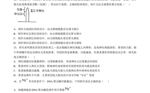 江苏省扬州市高邮市2024-2025学年高三上学期12月月考生物试题（含答案）_2025年1月_250102江苏省扬州市高邮市2024-2025学年高三上学期12月月考（全科）