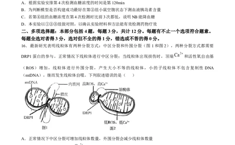 江苏省扬州市高邮市2024-2025学年高三上学期12月月考生物试题（含答案）_2025年1月_250102江苏省扬州市高邮市2024-2025学年高三上学期12月月考（全科）