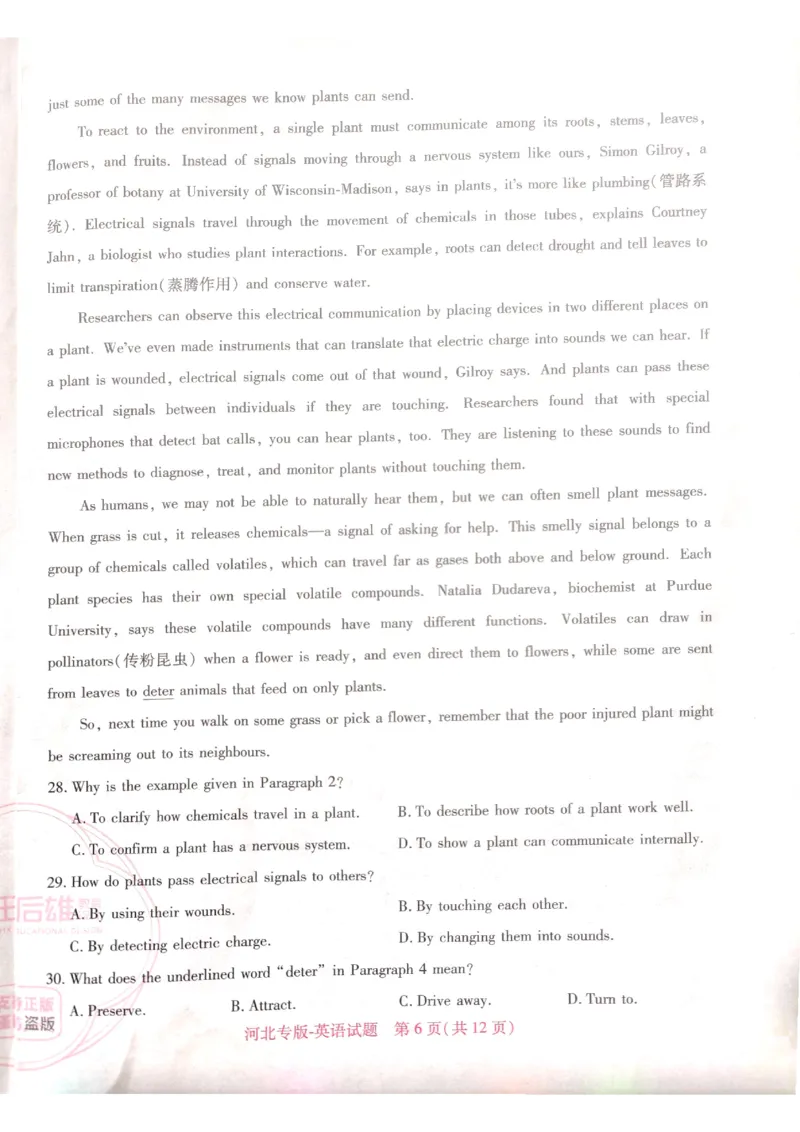 2024-05高考王后雄英语_2024高考押题卷_22024王hou雄_16王后雄押题_2024年王后雄高考押题预测卷（河北专版）