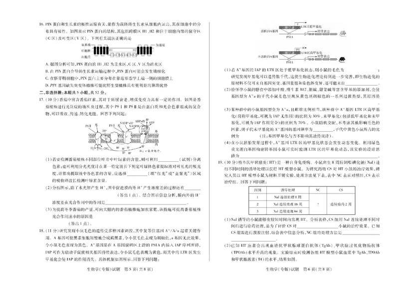 陕西省、山西省天一大联考2024-2025学年高中毕业班阶段性测试（六）生物_2025年3月_250321陕西省、山西省天一大联考2024-2025学年高中毕业班阶段性测试（六）（全科）